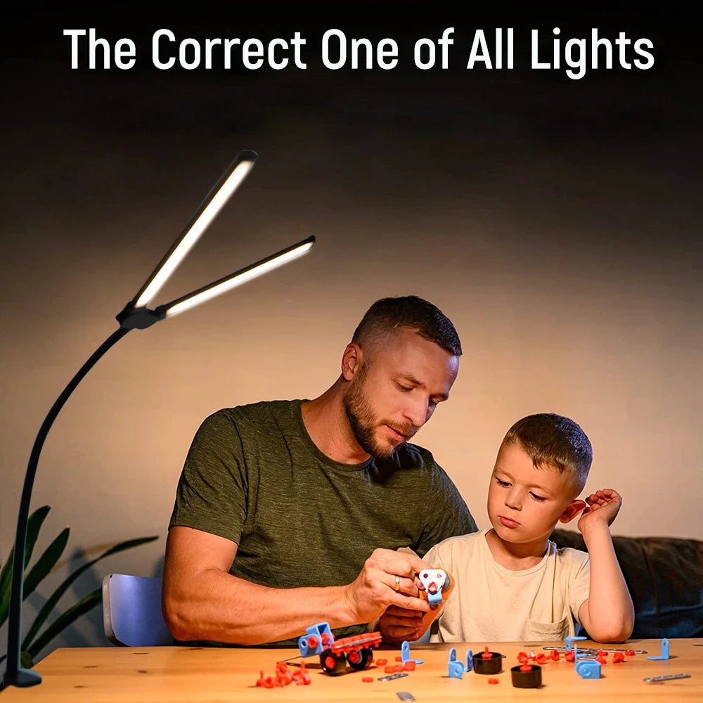 Home Office LED Desk Lamp Double Head Stepless Dimming